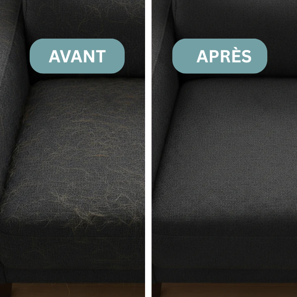 L'Horizon - Gant Anti-Poils Réutilisable & Écologique