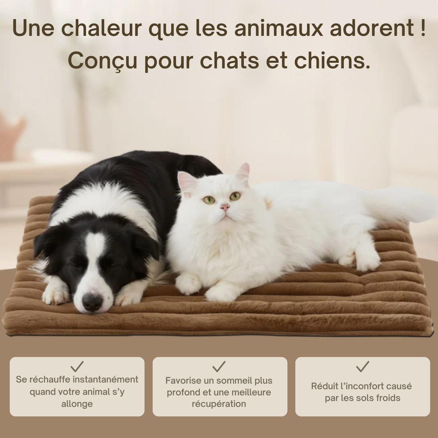TAPIS AUTO-CHAUFFANT POUR CHIEN ET CHAT - Sans électricité, parfait pour l’hiver.
