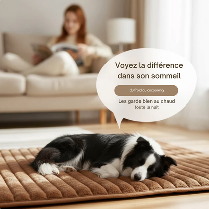 TAPIS AUTO-CHAUFFANT POUR CHIEN ET CHAT - Sans électricité, parfait pour l’hiver.