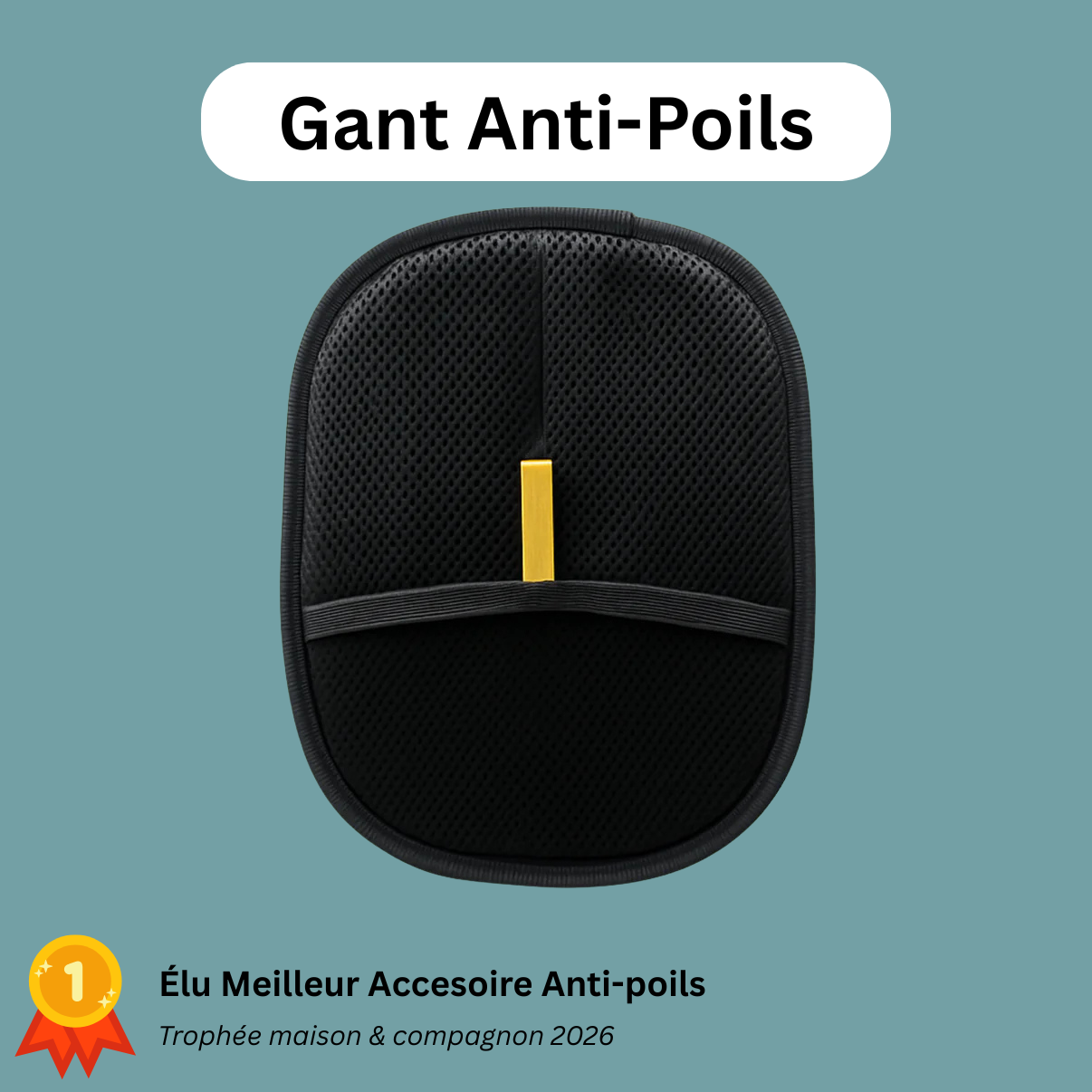 L'Horizon - Gant Anti-Poils Réutilisable & Écologique