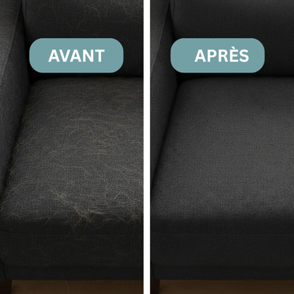 L'Horizon - Gant Anti-Poils Réutilisable & Écologique